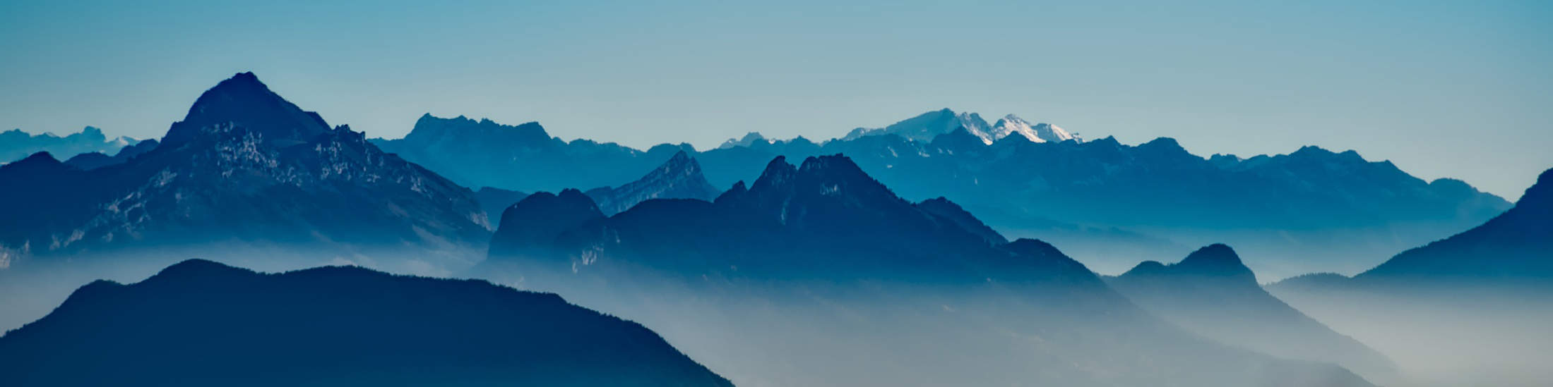 WEIL LEBEN MEHR IST.